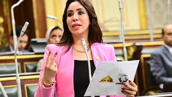 النائبة غادة علي