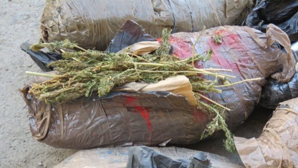 مخدرات - أرشيفية