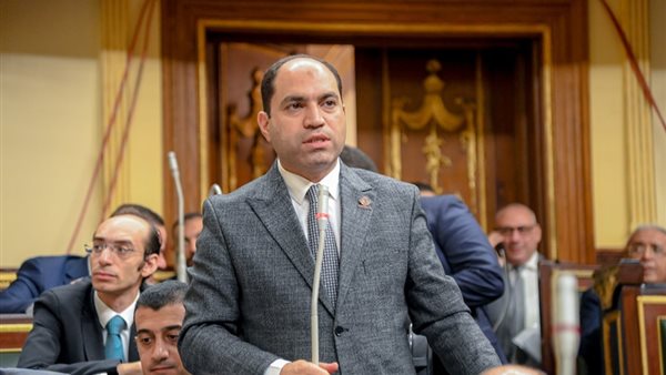 النائب عمرو درويش