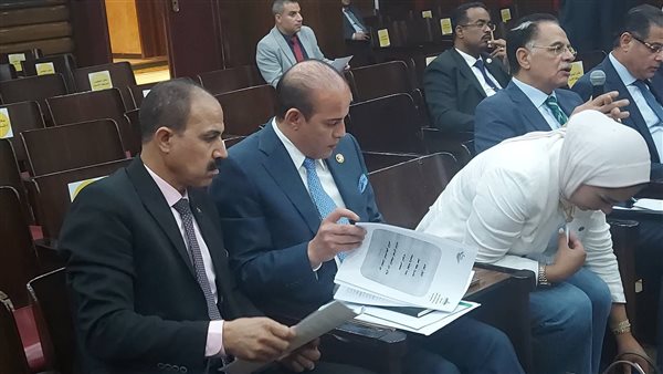 النائب عمرو القطامي