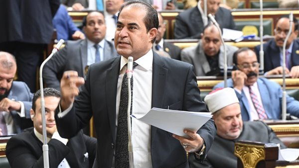 النائب سليمان وهدان