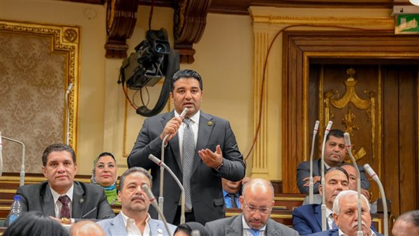 النائب محمود عصام