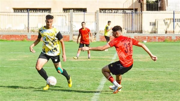 محمد صفوت تريكة