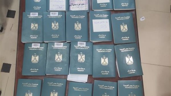 شركة سياحية بدون