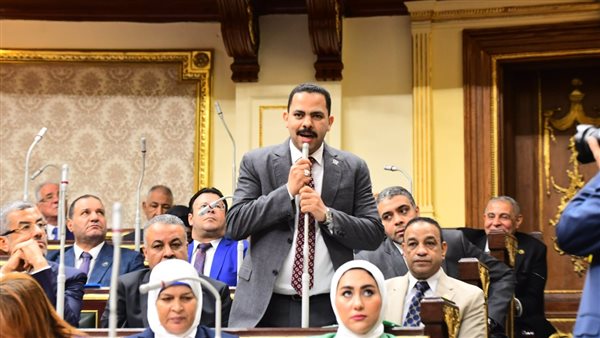 ممثل الأغلبية بمجلس