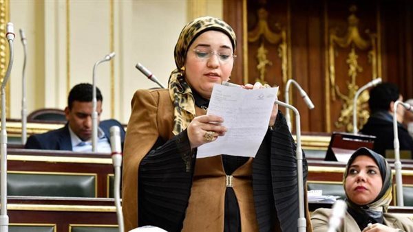 النائبة دعاء عريبي