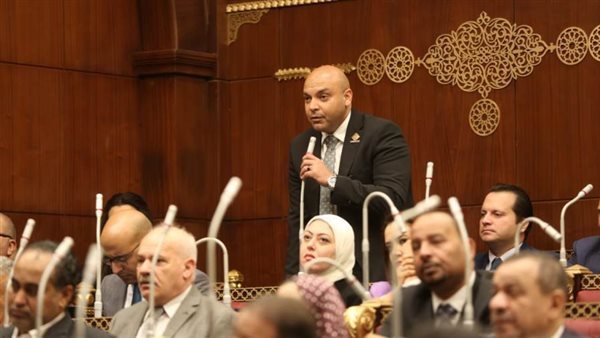 النائب محمود القط