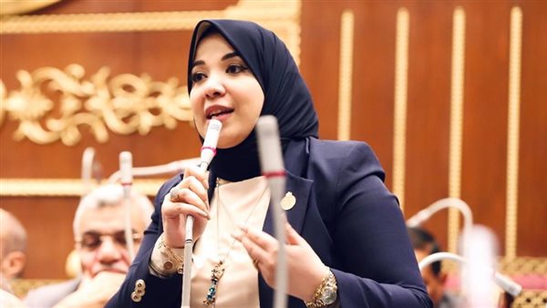 النائبة دينا هلالي