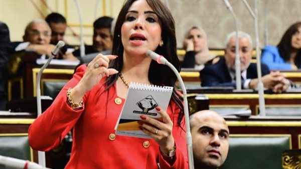 النائبة غادة علي