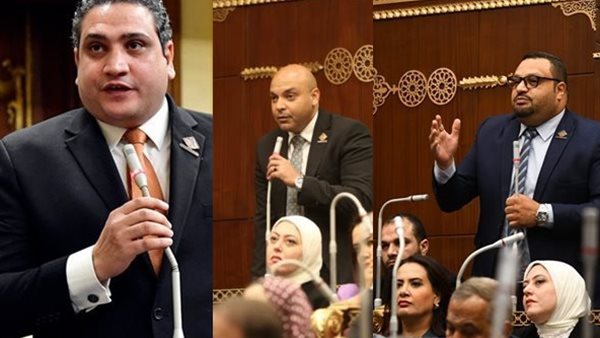 نواب تنسيقية شباب