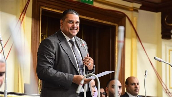  النائب محمد إسماعيل