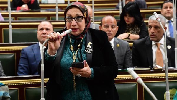 النائبة إيناس عبد