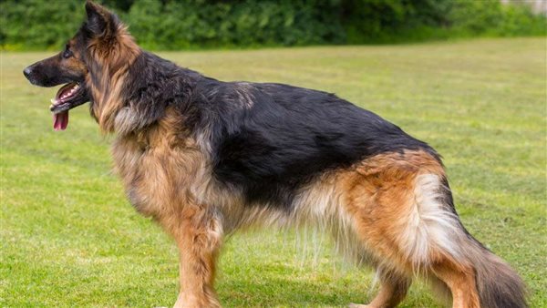   ترهيب طلبة إحدى