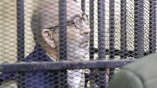 شقيق بطرس غالي