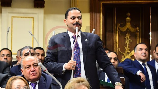 النائب أشرف رشاد