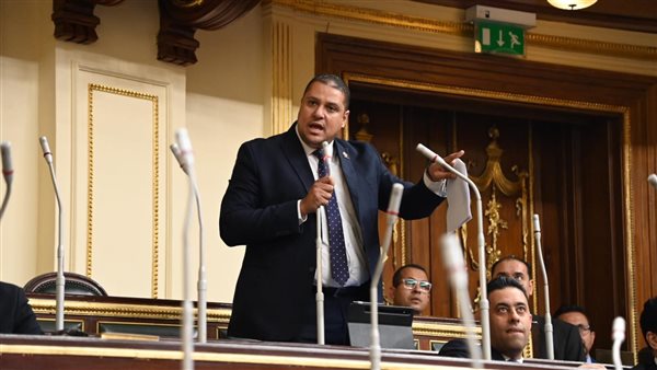 النائب محمد إسماعيل