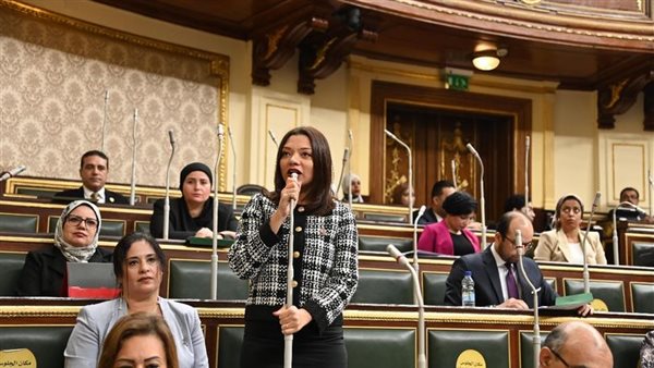 النائبة مى كرم جبر