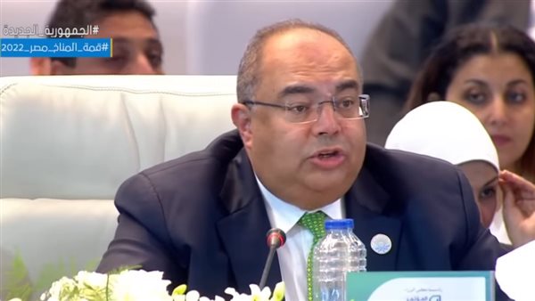 د. محمود محيي الدين