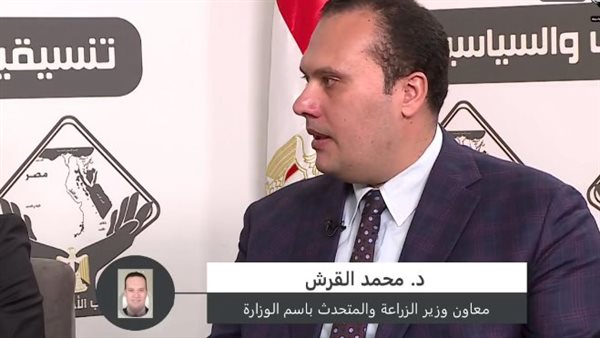 د. محمد القرش معاون