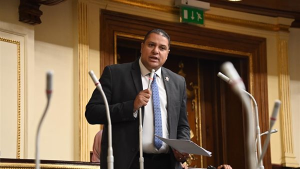  النائب محمد إسماعيل