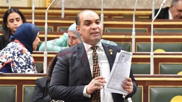 النائب علاء حمدي