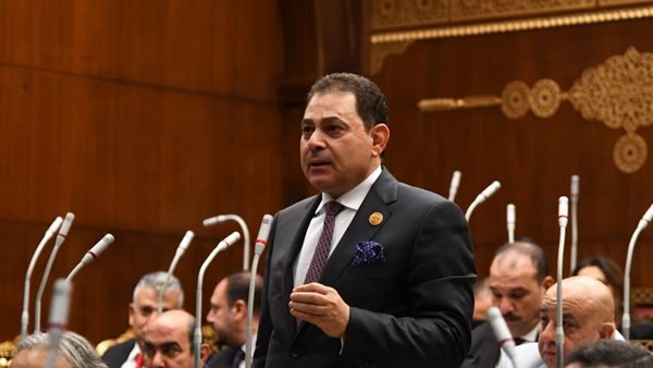  النائب فرج فتحى