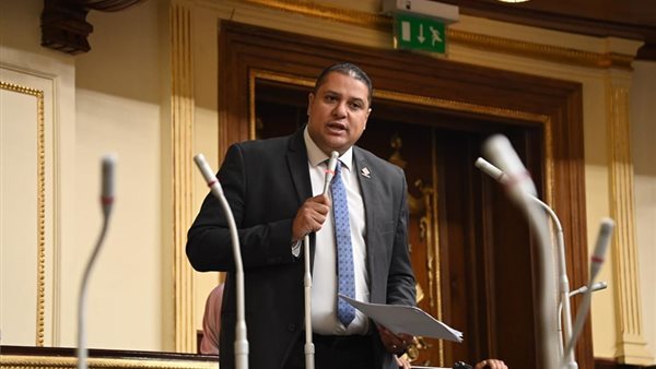  النائب محمد اسماعيل