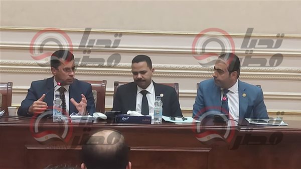 لجنة الشباب والرياضة