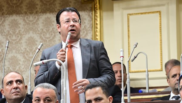 النائب محمود البرعي