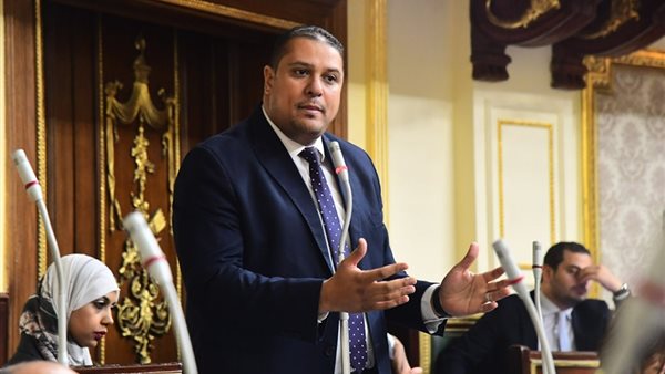 النائب محمد إسماعيل