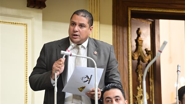  النائب محمد إسماعيل