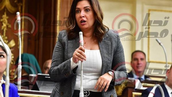  النائبة أميرة العادلي