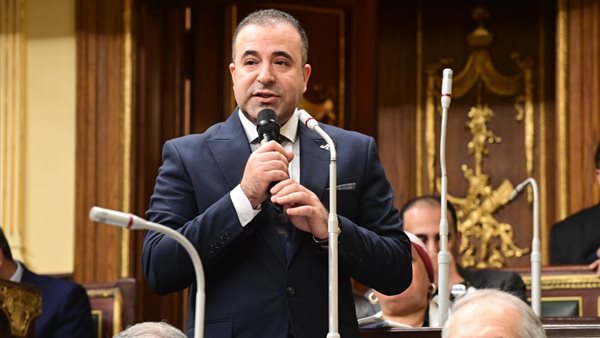  النائب أحمد بدوي