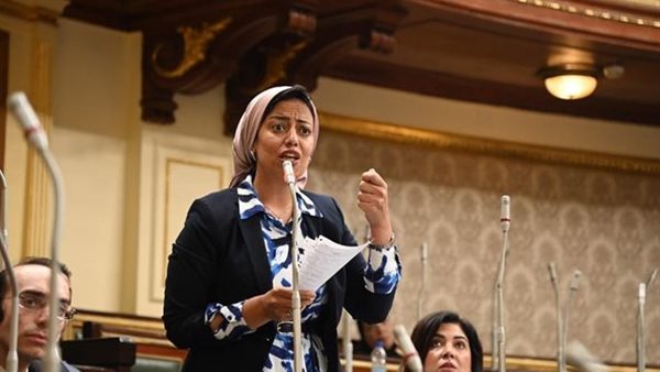  النائبة رشا كليبب