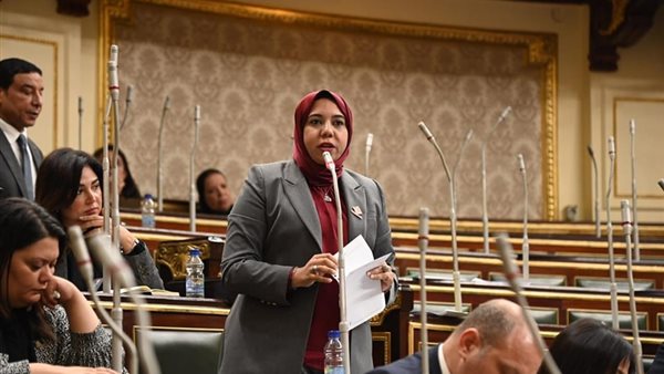  النائبة هيام الطباخ