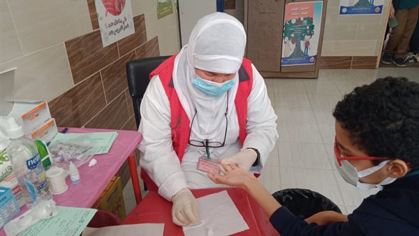 جانب من المبادرة