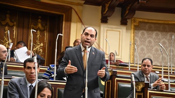 النائب عمرو درويش