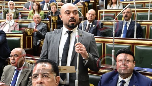 النائب أحمد سمير