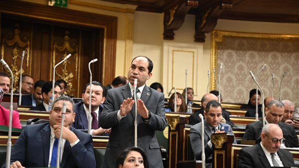  النائب عمرو درويش