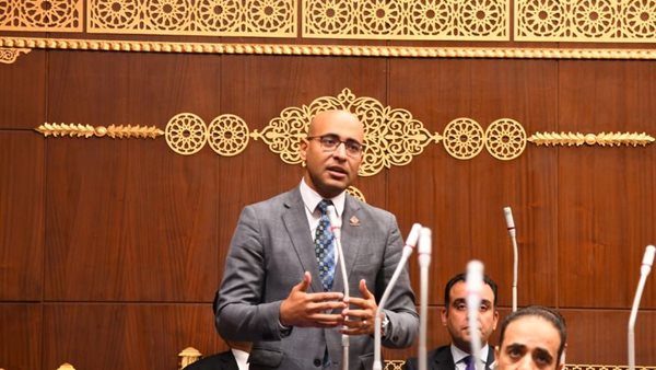 النائب علاء مصطفى