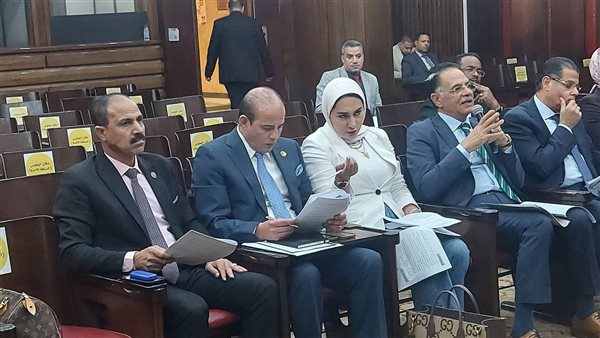 النائب عمرو القطامي