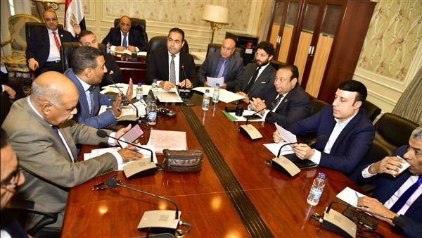 لجنة الشباب والرياضة