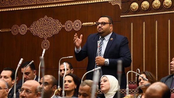 النائب أحمد القناوى،