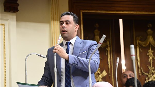  النائب أحمد فرغلى