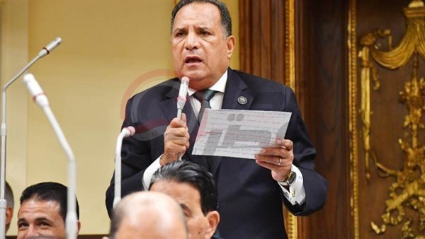 النائب محمد أبو هميلة