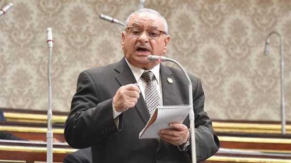  النائب محمد عبد