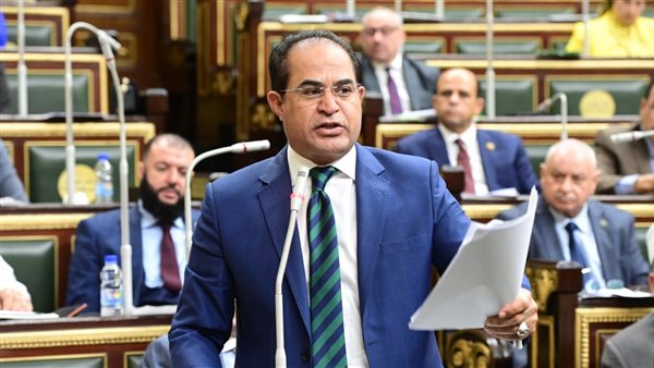  النائب سليمان وهدان