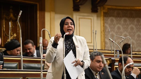 النائبة هيام الطباخ