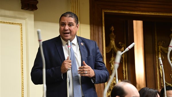 النائب محمد إسماعيل