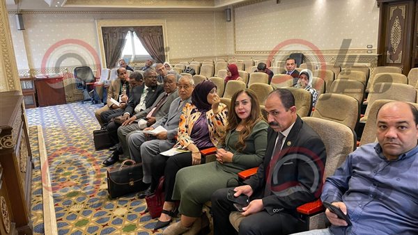  النائبة جيهان البيومى